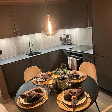 Helt Ny In- Out I * Hemsedal